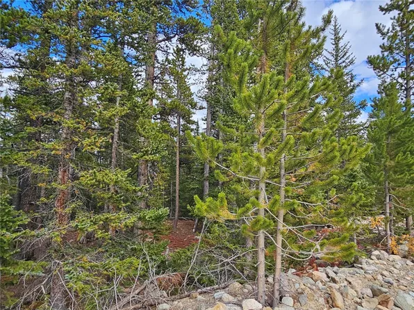 100 Miners Way, Fairplay, CO 80440