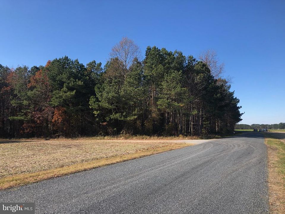 2nd image of Dion Rd