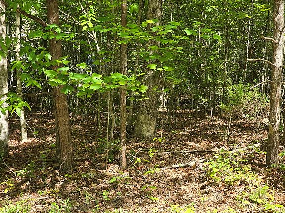 4th image of TRACT 4A Garland Ln