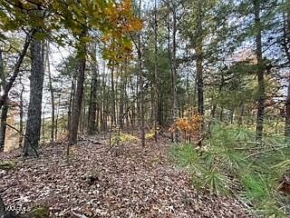 2nd image of Mountain Trail Ln