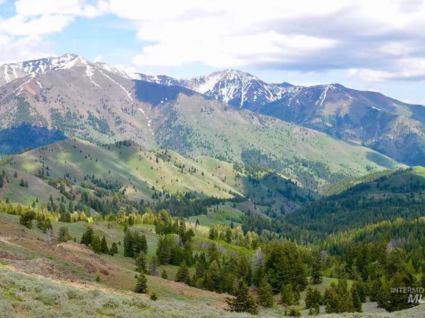 Lava Lake Rd, Carey, ID 83320