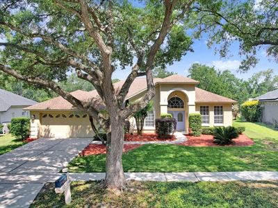 5326 Twin Creeks Dr, Valrico, FL, 33596