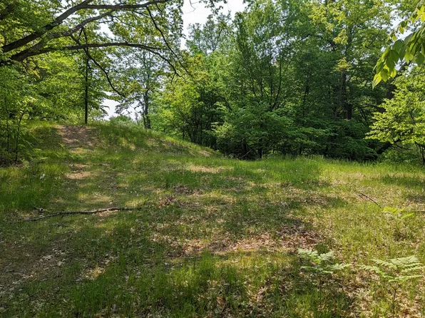4975 Lookout Trl #239, Custer, MI 49405