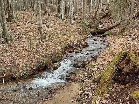 4th image of 0 High Falls Dr