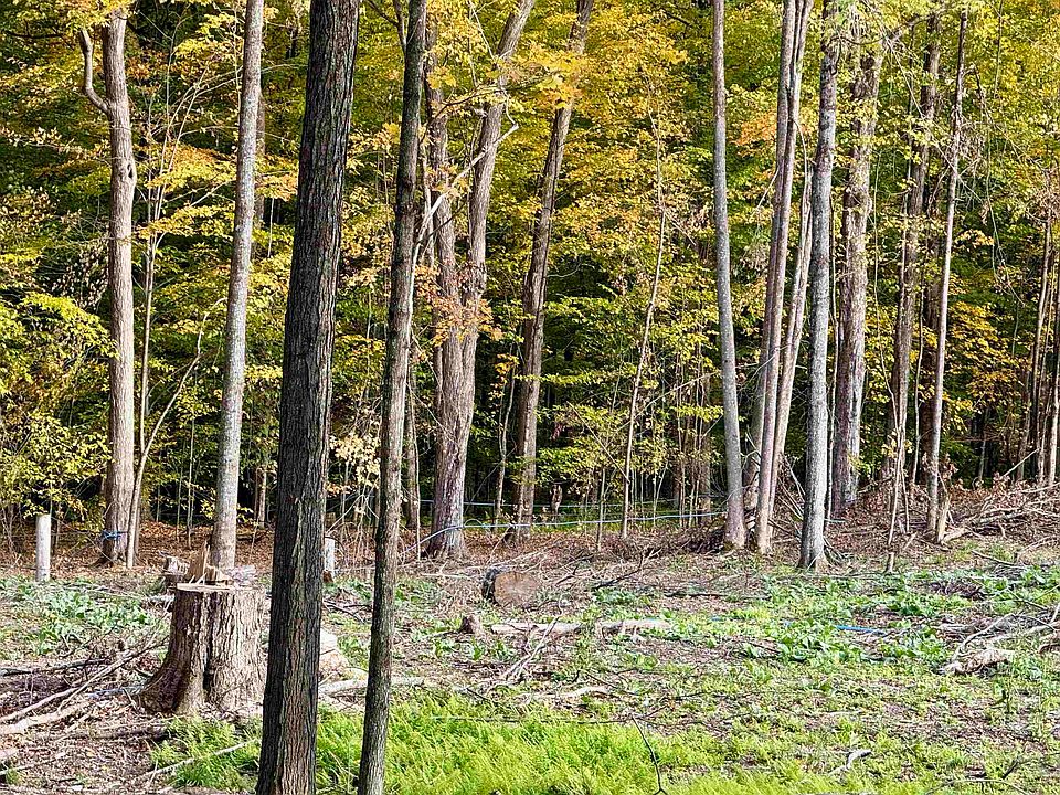 2nd image of Pumpkin Hill Rd Lot 1