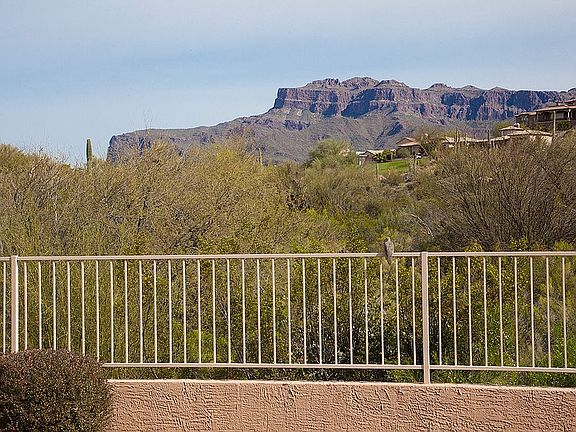 Backyard View