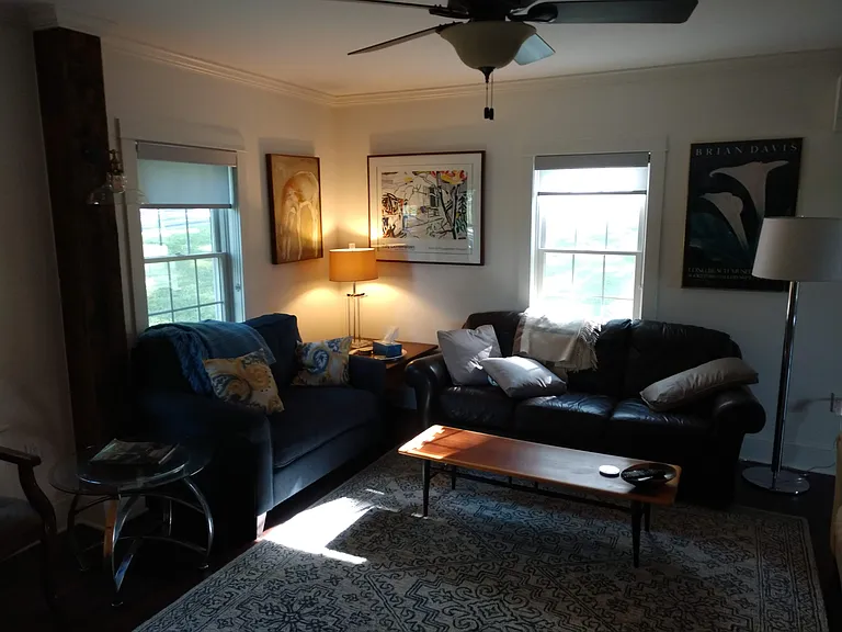 905 Snyder Hill Rd — Photo 8