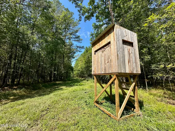3 Forest Service Rd #562, Pulaski, MS 39152