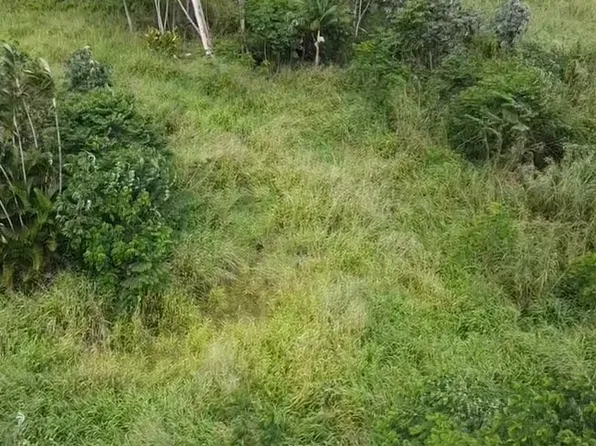 16-26 Tiki Rd Lot 26, Kurtistown, HI 96760