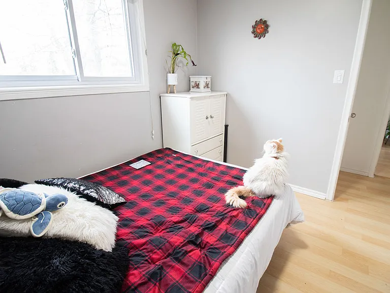 5 Alexandra Blvd — Photo 13
