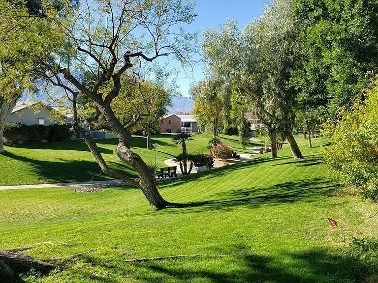 15300 Palm Dr #108 — Photo 20