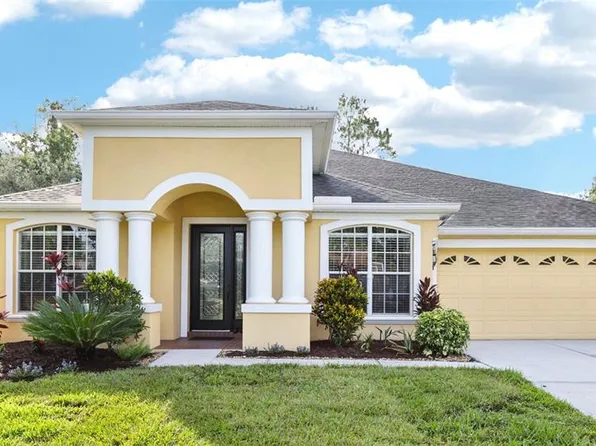 27209 Firebush Dr, Wesley Chapel, FL 33544