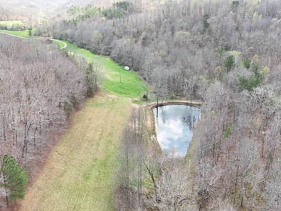 5th image of 1149 Kelly Branch Rd
