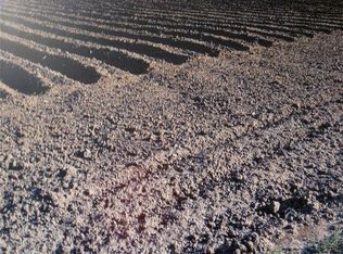 Mile 14 North Rd, Donna, TX 78537