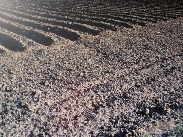 E 107 State Hwy, Donna, TX 78537