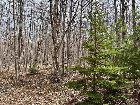 5th image of N Carlshend Rd