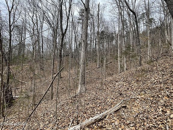 3rd image of 119 Laurel Lake Cir Lot 119