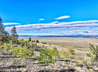 1400 Garfield Rd, Lake George, CO 80827