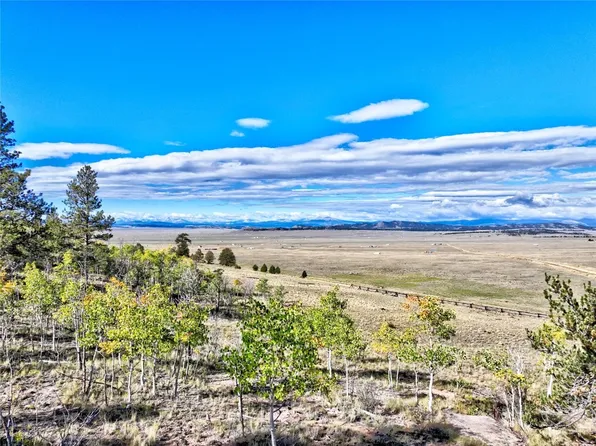 1400 Garfield Rd, Lake George, CO 80827