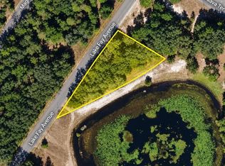UNDETERMINED LOT 1, OCKLAWAHA, FL 32179