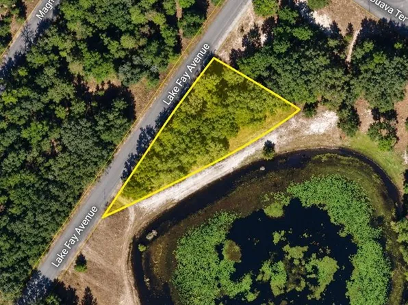 UNDETERMINED LOT 1, OCKLAWAHA, FL 32179