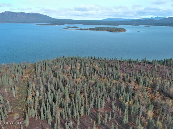 L5b1 Grizzly Rd, Aleknagik, AK 99555