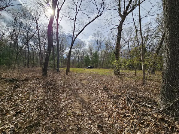 2602 E 88th St, Newaygo, MI 49337