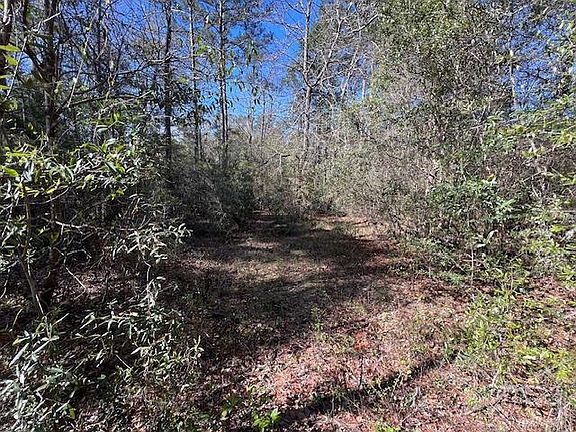 4th image of 26191 Brogden Rd