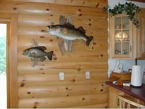 5th image of E27700 Tamarack Lake Ln