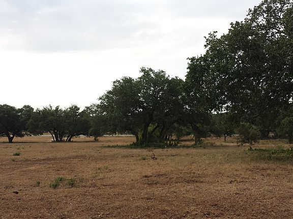 2nd image of 11335 Fm 1863