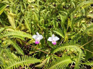 Lahaina Rd LOT 458, Pahoa, HI 96778