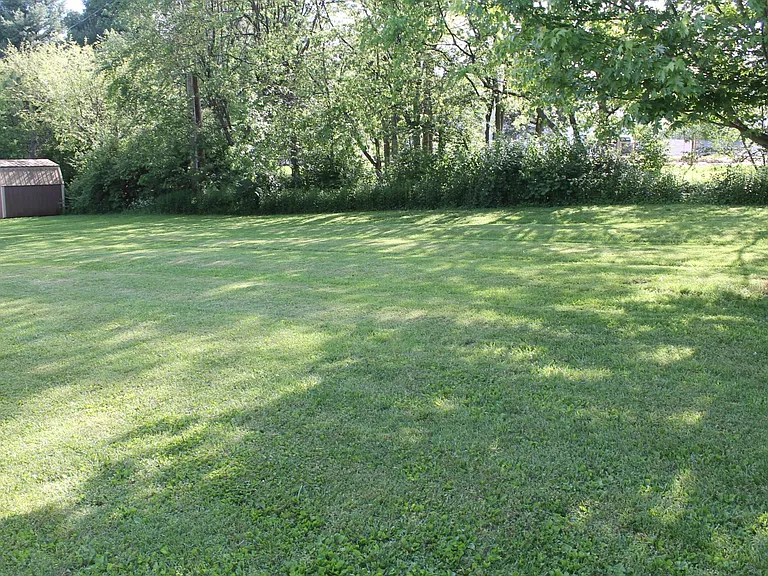 Lassie Dr — Photo 3