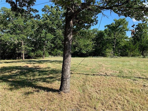 5th image of 304 Birch Hill Ln