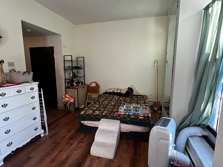 247 Pearl St #103 — Photo 5