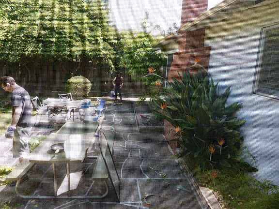 Rear Patio