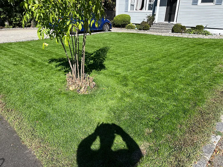 Property this past fall