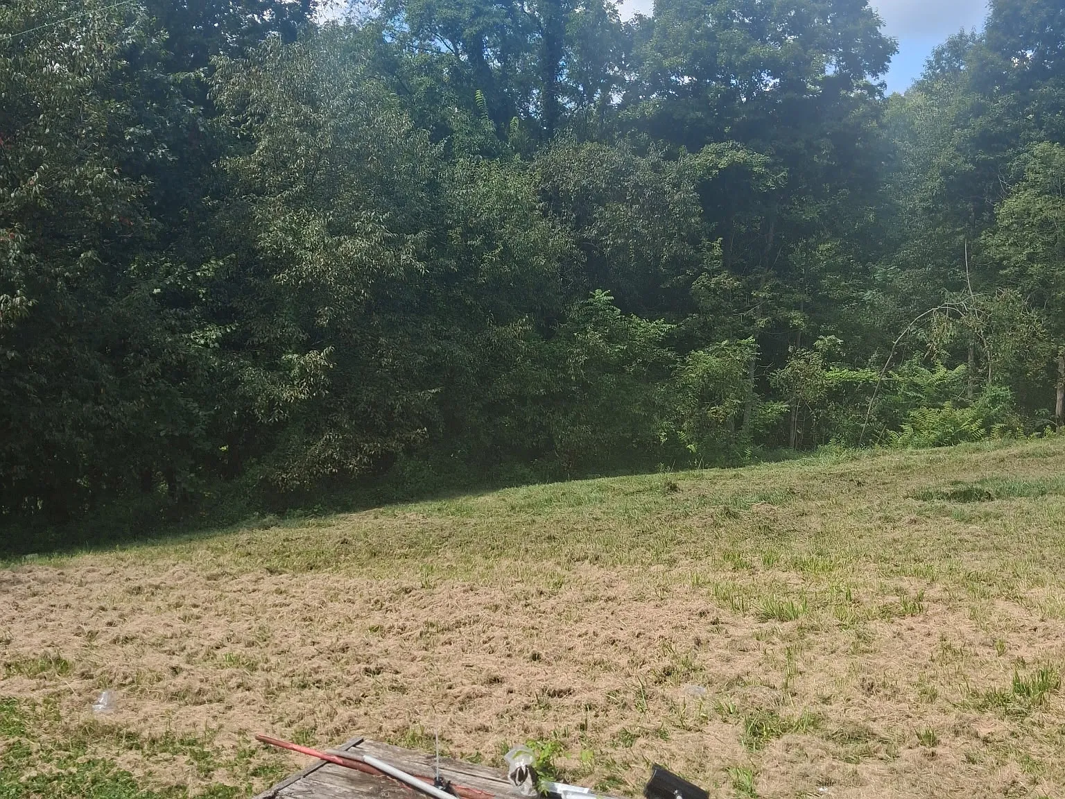 2 bed, 1000 sqft, $700 — Photo 4