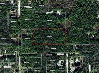 2 Avenue, Steinhatchee, FL 32359