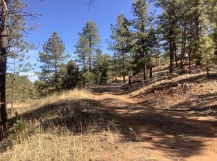 13645 S State Highway 67, Woodland Park, CO 80863