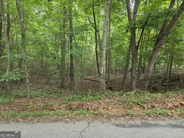 109 Arrowhead Dr, Lavonia, GA 30553