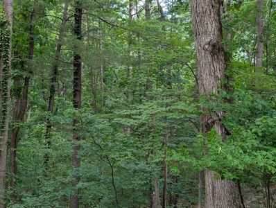 0 Bousman Cir #33, Hardy, VA, 24101