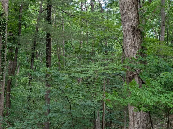 0 Bousman Cir #33, Hardy, VA 24101