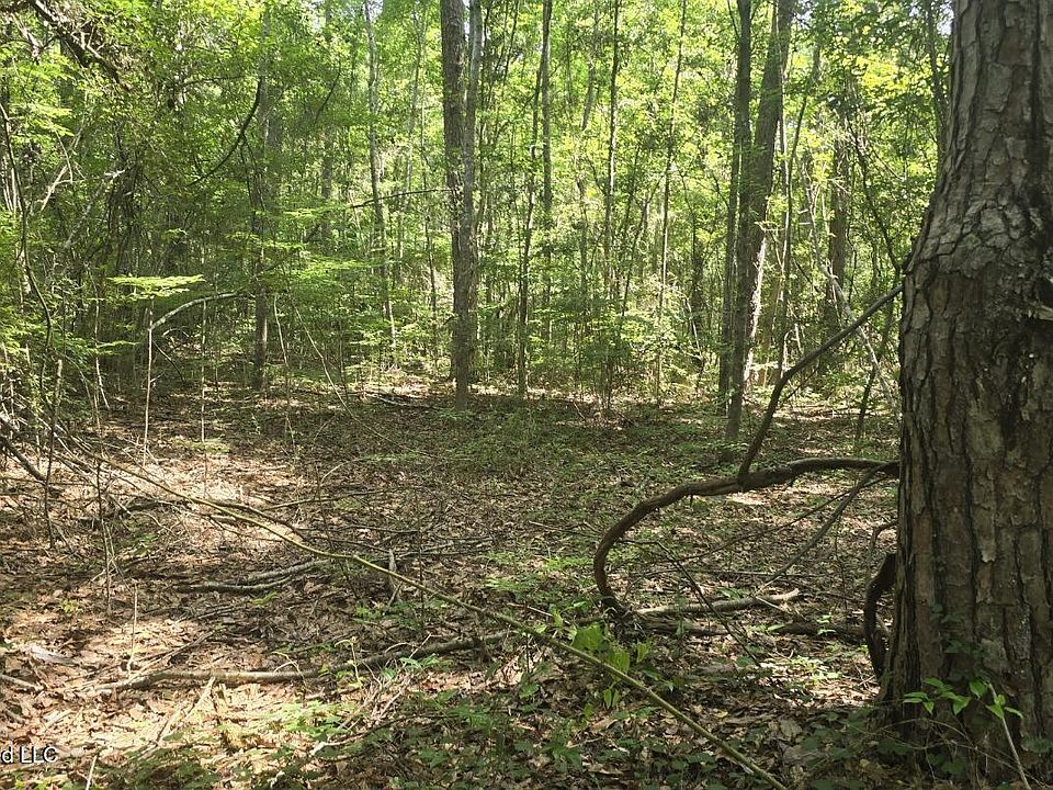 1st image of Addison Rd