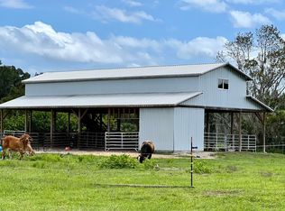 1135 Reed Grove Rd, Oak Hill, FL 32759