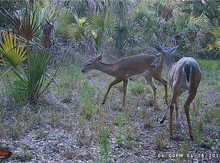 441 33rd Ave NW, Naples, FL 34120