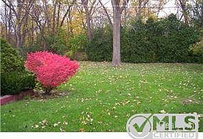 LARGE BACK YARD.jpg