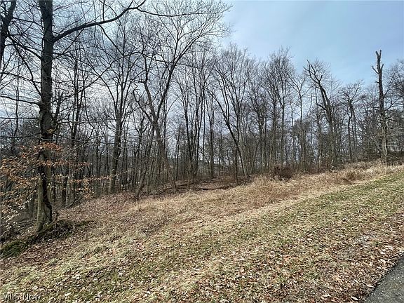 4th image of LOT 32 Private Road 343