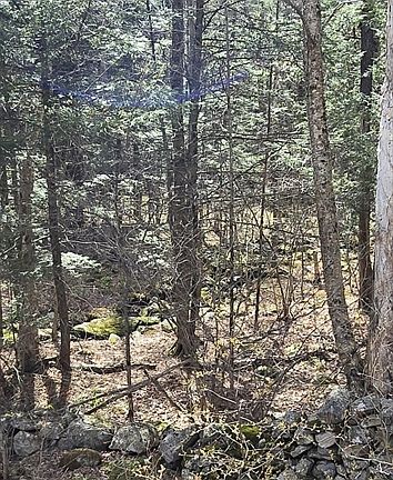 3rd image of 360 Jacobs Ladder Rd