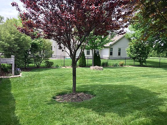 Back yard