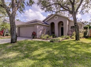 10431 Springrose Dr, Tampa, FL 33626